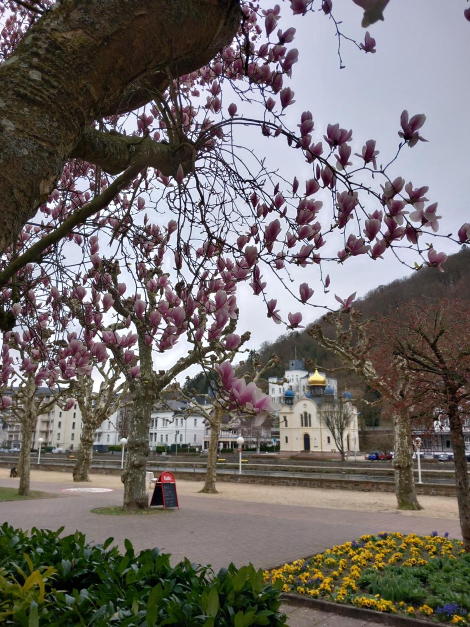 Ferienwohnung Im Roten Haus, Die Therme Ist Fusslaeufig In Wenigen Minuten Erreichbar Bad Ems Exterior photo